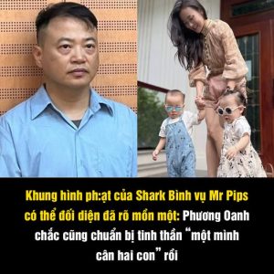 Khung hình phạt của Shark Bình vụ Mr Pips có thể đối diện đã rõ mồn một: Phương Oanh chắc cũng chuẩn bị tinh thần “một mình cân hai con” rồi
