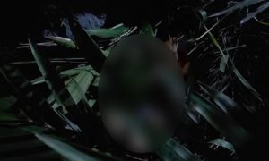 Nam sinh viên tử vong thương tâm sau khi tự ý leo núi Bài Thơ chụp ảnh –