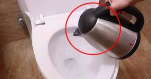 Vì sao phải đun nước sôi đổ vào bồn cầu ngay khi nhận phòng khách sạn: Lý do quan trọng ai cũng cần biết