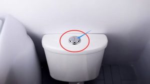 Tại sao trên nắp bồn cầu có 2 nút xả nước to và nhỏ? Rất nhiều người chưa biết công dụng bất ngờ