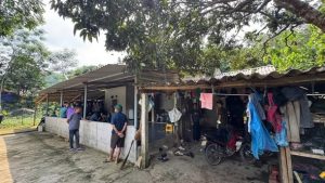 Nhân thân của mẹ đẻ bé gái 4 tuổi bị bạo hành đến tử vong ở Hà Nội: Chuyến thăm quê cuối cùng của đứa trẻ khiến nhiều người xót xa